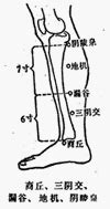 地機穴氣結|醫砭 » 經穴庫 » 地機